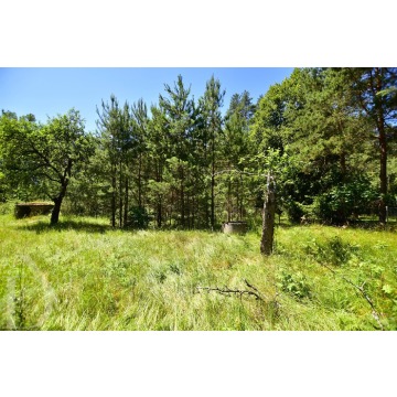 Działka Mikłaszewo sprzedam, pow. 1950 m2  (19.5a), uzbrojona - zdjęcie 5