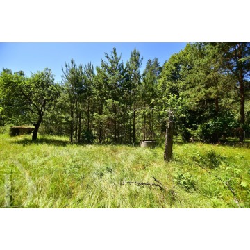 Działka Mikłaszewo sprzedam, pow. 1950 m2  (19.5a), uzbrojona - zdjęcie 6