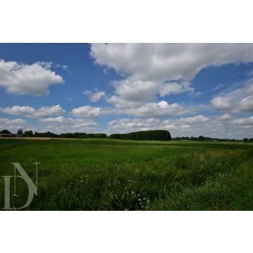 Działki 11095 m² koło Jeziora Dręstwo NOWA CE... - Działki na sprzedaż - Rajgród - zdjęcie 8