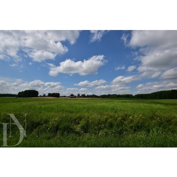 Działki 11095 m² koło Jeziora Dręstwo NOWA CE... - Działki na sprzedaż - Rajgród - zdjęcie 5
