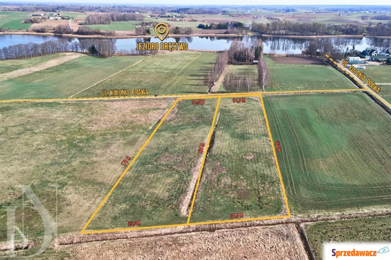 Działki 11095 m² koło Jeziora Dręstwo NOWA CE... - Działki na sprzedaż - Rajgród