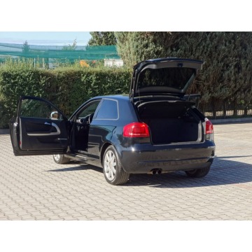 Audi A3  Hatchback 2009,  2.0 diesel - Na sprzedaż za 18 900 zł - Nowy Sącz - zdjęcie 11