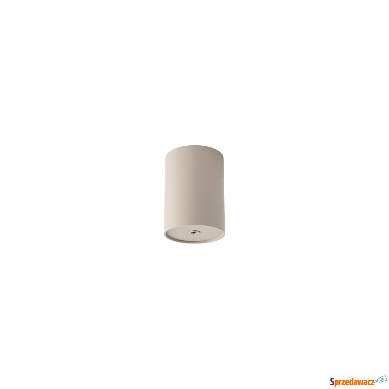 Puszka do systemu Cameleon CAMELEON CANOPY E 12066... - Pozostałe oświetlenie - Konin