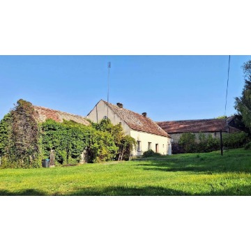 Sprzedam dom Cedynia - ,  pow.  300 m2,  działka:   1600 m2 - zdjęcie 5
