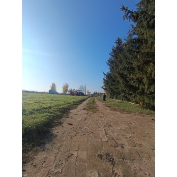 Duże działki przy lasie i blisko jeziora Miedwie