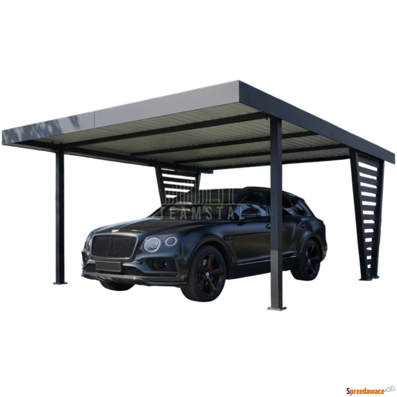 Carport V PREMIUM 5x5m - Wypeł...