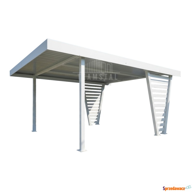 Carport V PREMIUM 4x5m - Wypeł...