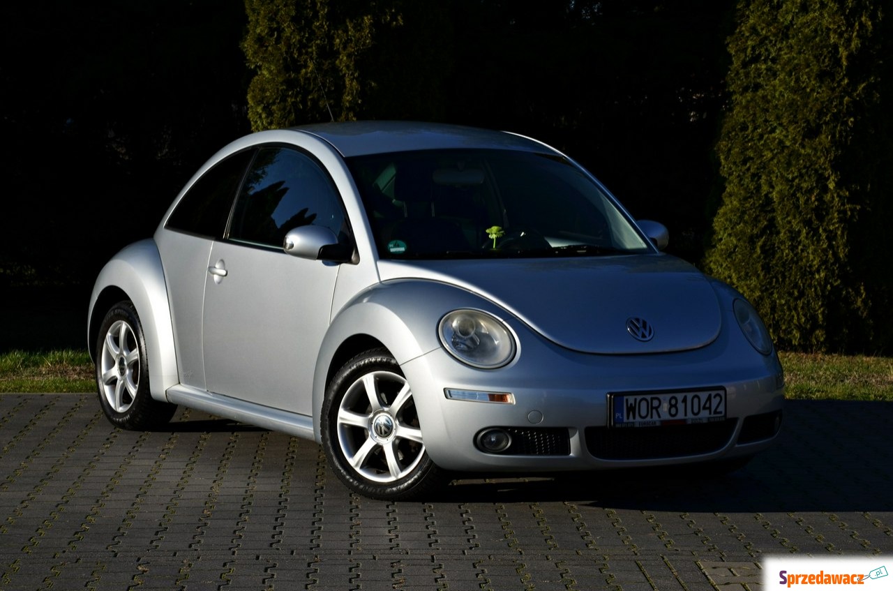 Volkswagen New Beetle 2010