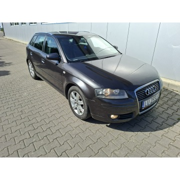 Audi A3  Hatchback 2007,  1.9 diesel - Na sprzedaż za 10 500 zł - Jacków - zdjęcie 4