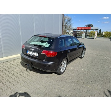 Audi A3  Hatchback 2007,  1.9 diesel - Na sprzedaż za 10 500 zł - Jacków - zdjęcie 3