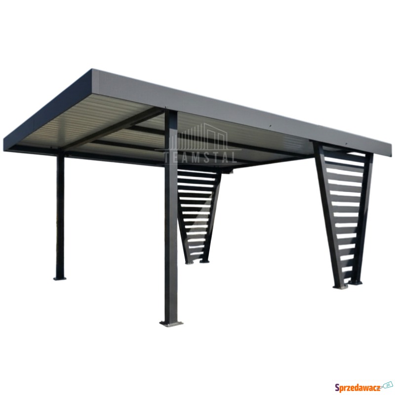 Carport V PREMIUM 4x5m - Wypełnienie panelami... - Garaże i wiaty - Lubin