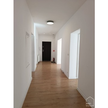 Mieszkanie  5 pokojowe Gliwice - Śródmieście,   131 m2, pierwsze piętro - Do wynajęcia - zdjęcie 1