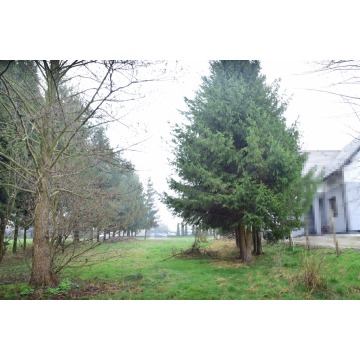 Działka budowlana Bratkowice sprzedam, pow. 2300 m2  (23a) - zdjęcie 1
