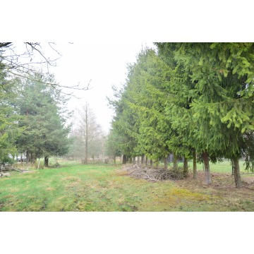 Działka budowlana Bratkowice sprzedam, pow. 2300 m2  (23a) - zdjęcie 2