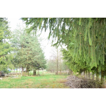 Działka budowlana Bratkowice sprzedam, pow. 2300 m2  (23a) - zdjęcie 7