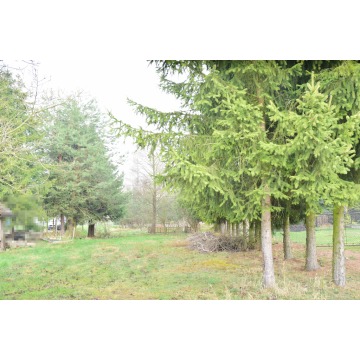 Działka budowlana Bratkowice sprzedam, pow. 2300 m2  (23a) - zdjęcie 6