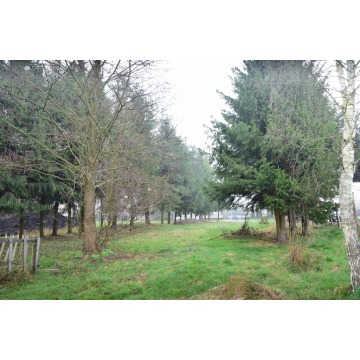 Działka budowlana Bratkowice sprzedam, pow. 2300 m2  (23a) - zdjęcie 4