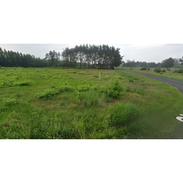 Działka inwestycyjna Gąba sprzedam, pow. 15 100 m2  (1.51ha), uzbrojona - zdjęcie 2