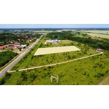 Działka komercyjna na sprzedaż, 11567m², Kłodawa