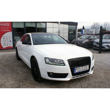 Audi A5  Sedan/Limuzyna 2011,  3.0 diesel, automat - Na sprzedaż za 37 700 zł - Ostrów Wielkopolski - zdjęcie 3