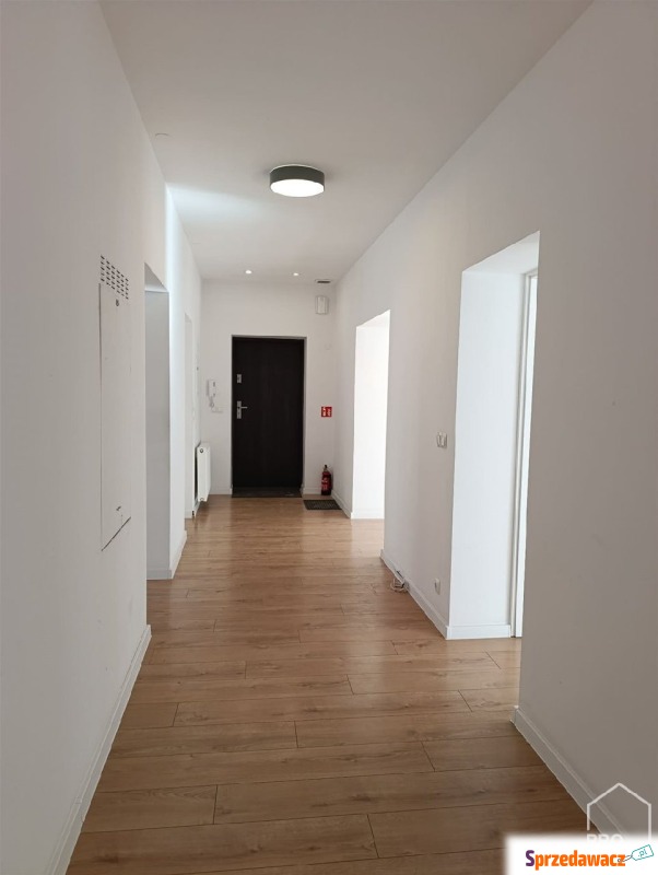 Mieszkanie  5 pokojowe Gliwice - Śródmieście,   131 m2, pierwsze piętro - Do wynajęcia