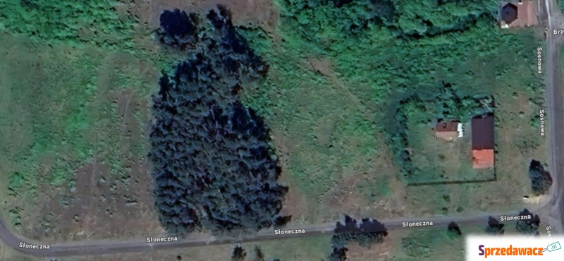Działka inwestycyjna Gąba sprzedam, pow. 15 100 m2  (1.51ha), uzbrojona