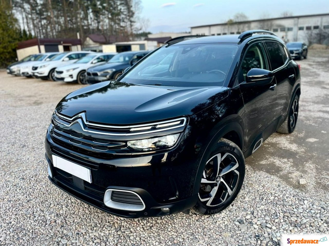 Citroen C5 Aircross 2021
