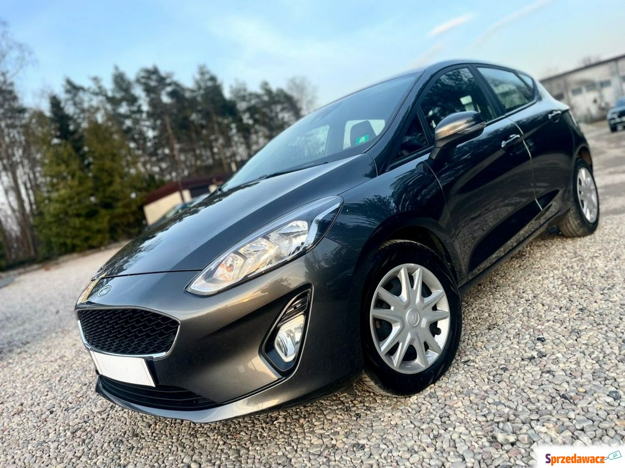 Ford Fiesta 2019