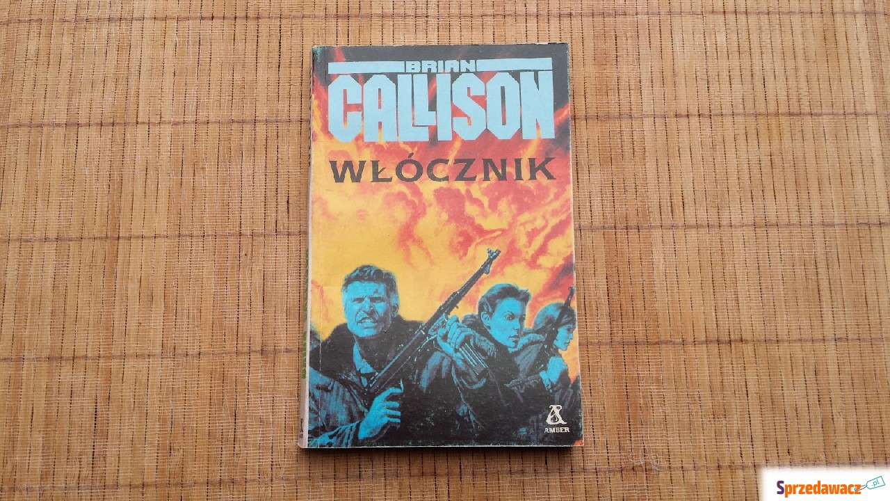 Książka Brian Callison Włócznik...