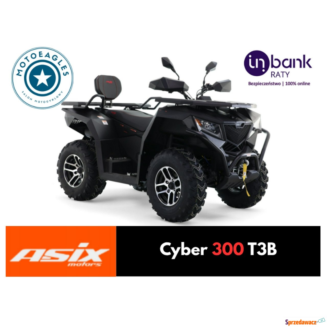 Quad ASIX Cyber 300 4X4 Transport...