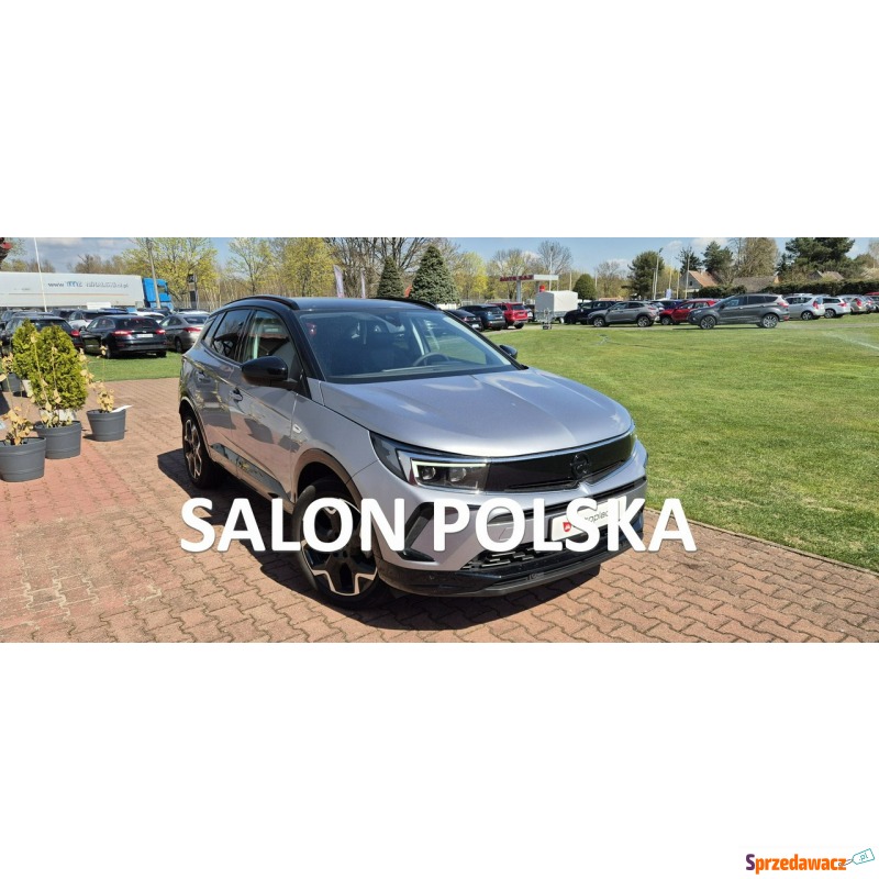 Opel HS  SUV 2024,  1.2 benzyna, automat - Na sprzedaż za 99 800 zł - Paproć