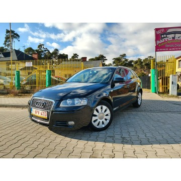 Audi A3  Hatchback 2006,  1.6 benzyna - Na sprzedaż za 15 900 zł - Włocławek - zdjęcie 2