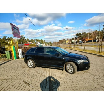 Audi A3  Hatchback 2006,  1.6 benzyna - Na sprzedaż za 15 900 zł - Włocławek - zdjęcie 6