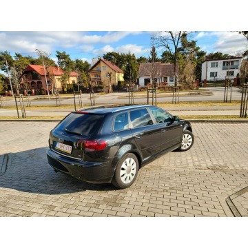 Audi A3  Hatchback 2006,  1.6 benzyna - Na sprzedaż za 15 900 zł - Włocławek - zdjęcie 9