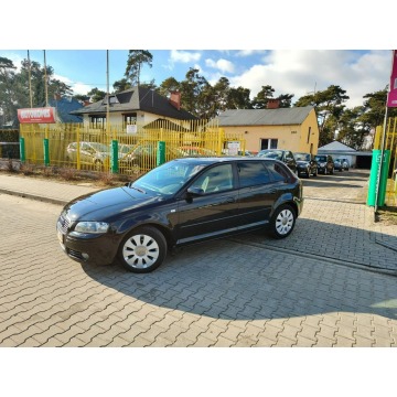 Audi A3  Hatchback 2006,  1.6 benzyna - Na sprzedaż za 15 900 zł - Włocławek - zdjęcie 4