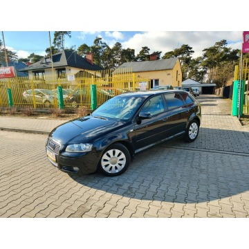 Audi A3  Hatchback 2006,  1.6 benzyna - Na sprzedaż za 15 900 zł - Włocławek - zdjęcie 3