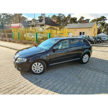 Audi A3  Hatchback 2006,  1.6 benzyna - Na sprzedaż za 15 900 zł - Włocławek - zdjęcie 5