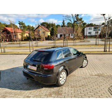 Audi A3  Hatchback 2006,  1.6 benzyna - Na sprzedaż za 15 900 zł - Włocławek - zdjęcie 8