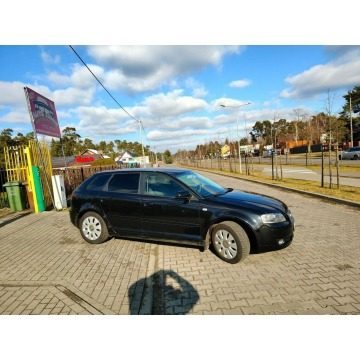 Audi A3  Hatchback 2006,  1.6 benzyna - Na sprzedaż za 15 900 zł - Włocławek - zdjęcie 7
