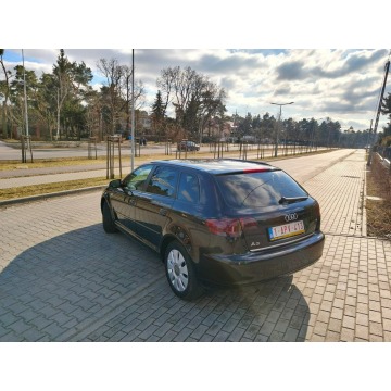 Audi A3  Hatchback 2006,  1.6 benzyna - Na sprzedaż za 15 900 zł - Włocławek - zdjęcie 12