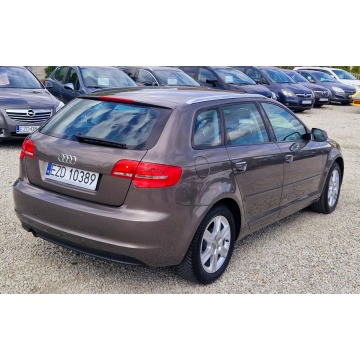Audi A3  Hatchback 2010,  1.6 diesel, automat - Na sprzedaż za 29 900 zł - Zduńska Wola - zdjęcie 4
