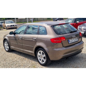 Audi A3  Hatchback 2010,  1.6 diesel, automat - Na sprzedaż za 29 900 zł - Zduńska Wola - zdjęcie 3