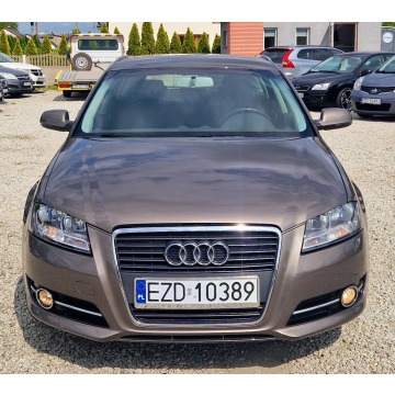 Audi A3  Hatchback 2010,  1.6 diesel, automat - Na sprzedaż za 29 900 zł - Zduńska Wola - zdjęcie 6