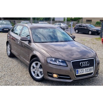 Audi A3  Hatchback 2010,  1.6 diesel, automat - Na sprzedaż za 29 900 zł - Zduńska Wola - zdjęcie 5