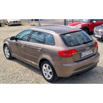 Audi A3  Hatchback 2010,  1.6 diesel, automat - Na sprzedaż za 29 900 zł - Zduńska Wola - zdjęcie 9