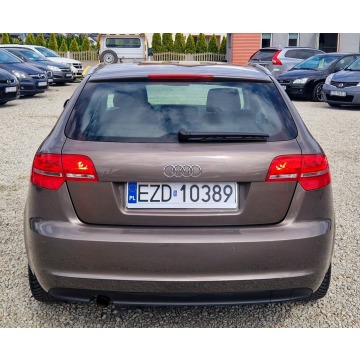 Audi A3  Hatchback 2010,  1.6 diesel, automat - Na sprzedaż za 29 900 zł - Zduńska Wola - zdjęcie 12