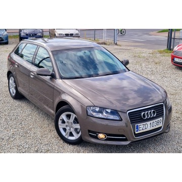 Audi A3  Hatchback 2010,  1.6 diesel, automat - Na sprzedaż za 29 900 zł - Zduńska Wola - zdjęcie 10