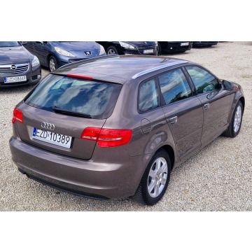 Audi A3  Hatchback 2010,  1.6 diesel, automat - Na sprzedaż za 29 900 zł - Zduńska Wola - zdjęcie 11