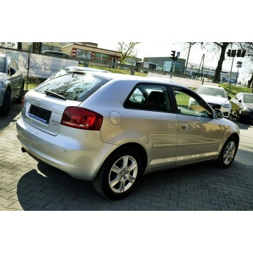 Audi A3  Hatchback 2009,  1.6 diesel - Na sprzedaż za 15 800 zł - Płock - zdjęcie 7