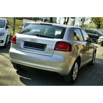 Audi A3  Hatchback 2009,  1.6 diesel - Na sprzedaż za 15 800 zł - Płock - zdjęcie 6